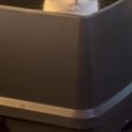 トイレに入っていた猫→『表情』を見ると…思わず笑ってしまう『一生懸…