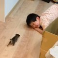『赤ちゃん猫と男の子』が共に成長していった結果…素敵な光景に感動が…