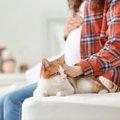 虹の橋を渡った「病院勤務の猫」を惜しむ声多数　妊婦さんたちに愛さ…