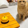 猫の目の前に『呼び出しベル』を置くと→慣れた手つきで……あまりにも賢い『…