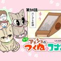 半分アメショのつくねとコナン【第94話】 「新調したけど」