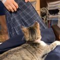 「もう休むしかないｗｗ」お姉ちゃんが学校の制服を着ようとしたら…『…