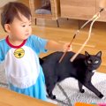 ３匹の猫にスルーされる赤ちゃん→『羽根つき猫じゃらし』を手にした結果……