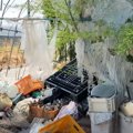 猛暑日に『ゴミ置き場に子猫が捨てられている』と連絡がきて→急いで向…