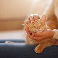 愛猫にとって『猫生で最高に幸せ♡』と感じる3つの瞬間　喜んでいるサ…