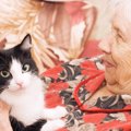 猫と人間の『老化』で起こる3つの問題！今から備えるべきことは？