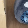 新しいペットハウスを買ってもらった猫→しかし、『向かった先』は…『猫あ…