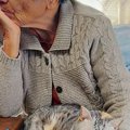 そっぽを向くおばあちゃん→『膝の上』を見ると猫が…『ツンデレ』なふ…
