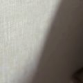 掃除機をかけていると、『狭い隙間』に…猫たちがとった『可愛すぎる行動』…