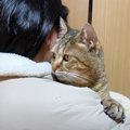 元野良猫が大好きな女の子に『初めて抱っこされた』結果…かわいすぎる…