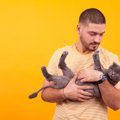 猫が『抱っこ』すると暴れる！4つの原因と対策