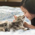 猫の『鼻チュー』に込められた意味3つ♡