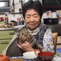 『知らない野良猫』が侵入してきたと思ったら…数分後→祖母との『爆笑…