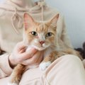 猫があなたの『膝に乗ろうとする』ときに考えられる心理3選　好かれて…