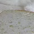 始業前に『ペットカメラ』をチェックした結果…とっても幸せそうな『猫…