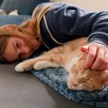 猫が飼い主さんの『体調不良』を察知できるのはホント？そう言われる3…