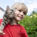 「猫を飼いたい！」子供のおねだり、親はどうする？迎える前に考慮す…