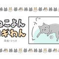 ねこよんコギわん【第20話】「夏になったんだと感じるとき。」