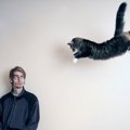 猫の『興奮スイッチ』が入っている仕草5つ　どんなときに発動する？飼…