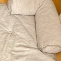 猫のために今年も『ひんやりマット』を出した結果…まさかの光景に２万いい…