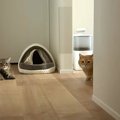 『赤ちゃんの寝かしつけ』に苦戦していると、猫たちが集まってきて…ほっこ…