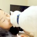 女の子のことが大好きな白猫→名前を呼ばれるとほおずりして…想像以上…