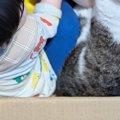 『仲良しな男の子と猫』がダンボールの中で…ほのぼのとした日常の光景が癒…