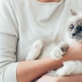 猫が『頼りない』と思うのはどんな人？５つの特徴