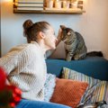 猫に好かれる『かわいがり方』とは？愛され人がやっている、猫たらし…