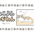 ねこよんコギわん【第36話】「れんげの甘噛み」