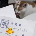 動物病院で処方された猫の抗不安薬→袋の『メモ書き』を見てみたら……予…