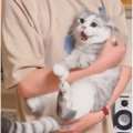 次男の抱っこだけは『絶対に許さない猫』→ママが抱っこしたら…想像以…