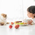 猫が自分が食べられると勘違いする『人の食べ物』4選　期待する理由や飼い…