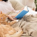 愛猫が『飼い主さんのそばから離れない』ときの理由4選　あんまりベッタリ…