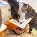 猫が『飼い主さんをわざと踏む』のはなぜ？考えられる猫の心理4つ　悪気が…