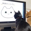 LAYLAの１２猫占い【4/13〜4/19】のあなたと猫ちゃんの運勢