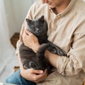 猫のことを『幸せにさせる飼い主』に共通する特徴5つ　参考にしたい接し方…
