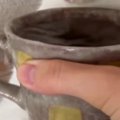 猫に『お水どうぞ』とマグカップを差し出したら…まさかの『可愛すぎる反応…