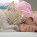 猫がいる生活はこんなに幸せ！６つのエピソード