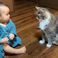 猫が『元気のない赤ちゃん』に近づいたら…まさかの表情の変化がほっこ…