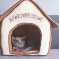 猫用ベッドは『屋根あり・屋根なし』どっちがいい？それぞれの良し悪…