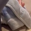 お風呂上がりに『寝落ちしていた息子』→そばには猫がいて…心温まる『尊い…