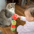 猫が『ブロックで遊んでいる赤ちゃん』と…ほのぼのとした光景に癒やさ…