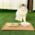 庭で凍えている猫に『おでん』をあげてみたら…微笑ましすぎる光景が23…