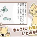 きょうも、お猫さまはいとをかし。【第29話】「困惑」