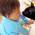 赤ちゃんがグズりそうになると、黒猫が顔を近づけて…尊くてたまらない…