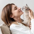 愛猫があなたや仲間猫に『鼻チュー』をするときの意味4選　“仲良しの…