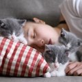 猫からの『信頼レベル』はどのくらい？3つのチェックポイントと信頼を得る…