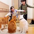 猫が『5日ぶりに帰宅した子供』と再会したら…感動的すぎる『おかえり…