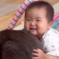 赤ちゃんが『猫とのスキンシップ』を覚えた結果…とんでもなく尊い『まさか…